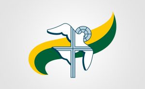 fallback-rcc-brasil